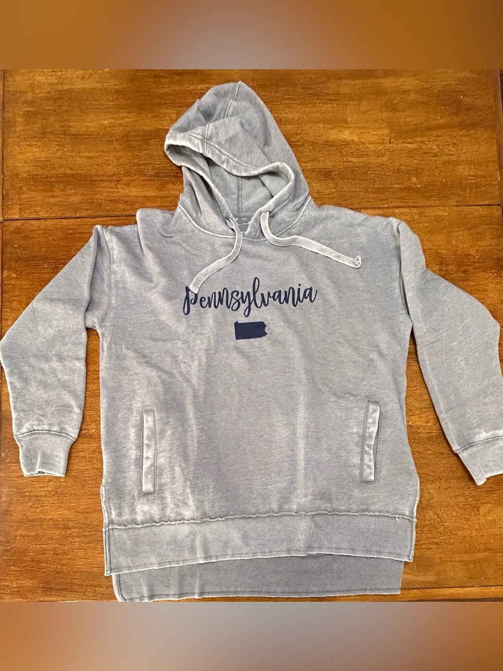 Pennsylvania Script Pullover Hoodie in Light Gray